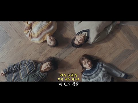 제일 좋아하는 꽃(いちばん好きな花) OST : Fujii Kaze - 花(꽃) [가사/번역/lyrics]