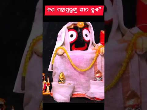 କଣ ମହାପ୍ରଭୁ ଙ୍କୁ ବି ଶୀତ ଲାଗେ #shorts #ytshorts #shortsfeed #jagannath #cold #trending