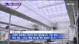 난방으로 재활용되는 태양열…농가 희소식 / YTN