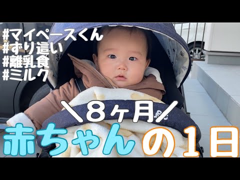 生後８ヶ月赤ちゃんの１日の様子【マイペースくん】【ずり這い】【離乳食】【フォロミ】