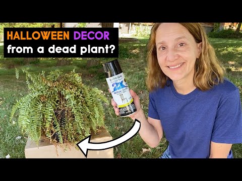 Budget Halloween decor from dead houseplants!