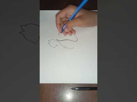 Easy cat drawing