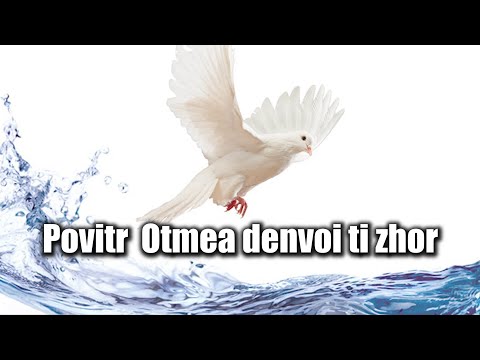 POVITR OTMEA DENVOI TI ZHOR -- ELVIS MASCARENHAS