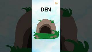 10 D LETTER WORDS|10 WORDS STARTING WITH LETTER D|  #educationalvideosforkids #alphabets #alphabetd