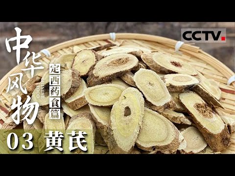 《中华风物》03 老中医的黄土传奇：一根针引发的草药命名风波——定西药食篇【CCTV纪录】