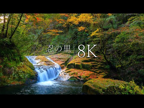 [Sound of Waterfalls] Visiting Akame 48 Falls in autumn, the village of ninja- Mie, Japan in 8K