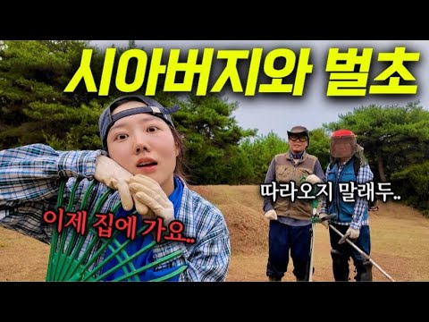 [시댁에서외박중] 시아버지와 벌초하고 묘 앞에서 뻗은 며느리..😱 | 소갈비찜에 전 부치기 | 멍이네 추석 선물 전달🍂