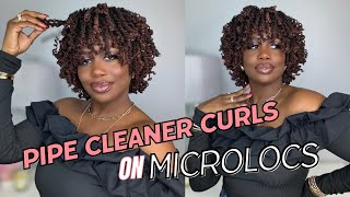 Pipe Cleaner Curls on DIY Microlocs | 4 Year Locaversary | Kendra Kenshay I