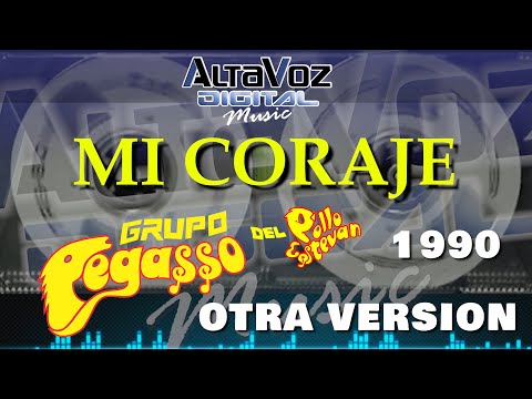 Mi Coraje OTRA VERSION con Moscas Grupo PEGASSO