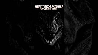 What T Rex's Actually Sound Like #dinosaur #trex #scary #prehistoric #animals #facts #shorts