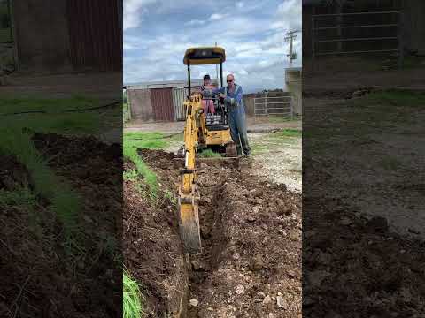 Diggers for Kids🚜 Using a Real Excavator on the Farm | Excavators for Kids #vehiclesforkids