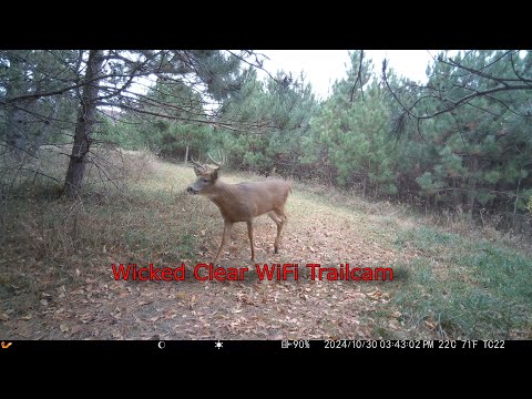 Voopeak TC22 4K Trail Camera WiFi Dual Lens Solar Integrated Game Camera with Starlight Night Vision