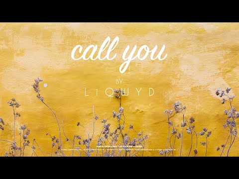 LiQWYD - Call You [Official]