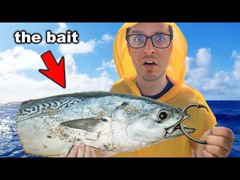 Using Giant Bait to Catch Giant Fish