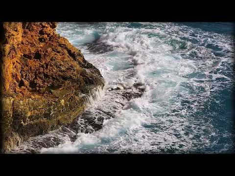 Nature Sounds & Beautiful Relaxing Music - Piano Music, Sleep, Yoga, Stress Relief, Meditation