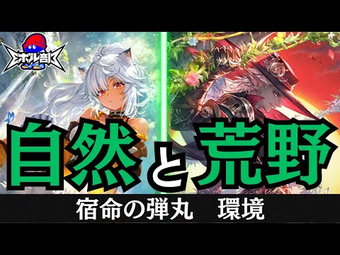 【新たな開拓】ロキサスを合わせた自然エルフで新弾デッキ対戦！　自然エルフvs秘術ウィッチ　シャドウバースエボルヴ