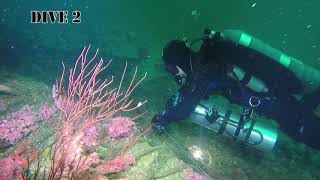 Tech Diving on the Caissons - 07/20/18 - Orange County Underwater Explorers - GUE