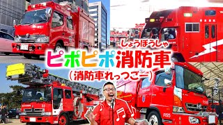 ピポピポ消防車（消防車レッツゴー！）