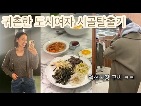 친구들 떠나 귀촌한 아주메의 시골탈출기 / 오백년만의 여주아울렛 / 백화점식품관 장바구니 /어쩌다보니 정월대보름 한상