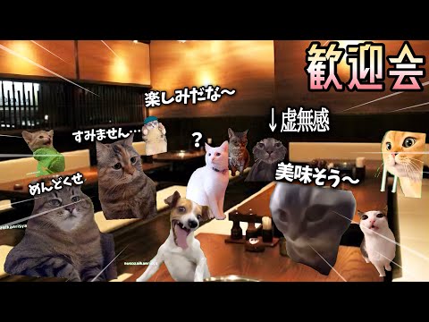 猫ミーム焼肉打ち上げ歓迎会！【猫ミーム】【猫マニ】