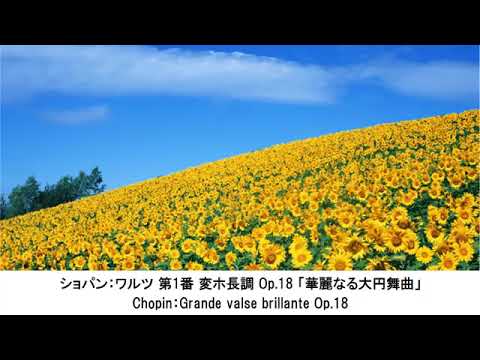 心が踊るリズミカルなクラシック名曲集・Rhythmic Classical Music Collection（長時間作業用BGM)