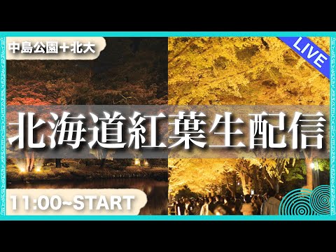 【生配信】北海道の紅葉が見たいって？よっしゃ最高の景色見せてやるよオラァ！！！！　 #北海道 #生配信 #LIVE