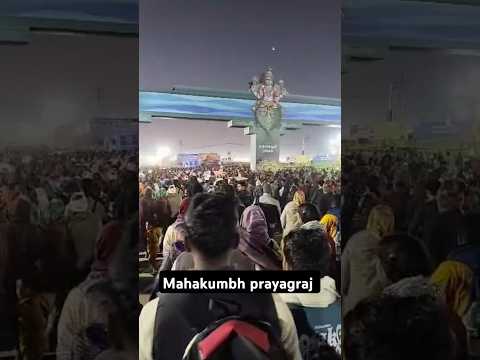 Ye prayagraj Hai #trending #prayagrajkumbh #mahakumbh2025 #viralvideo #shorts #song #reels