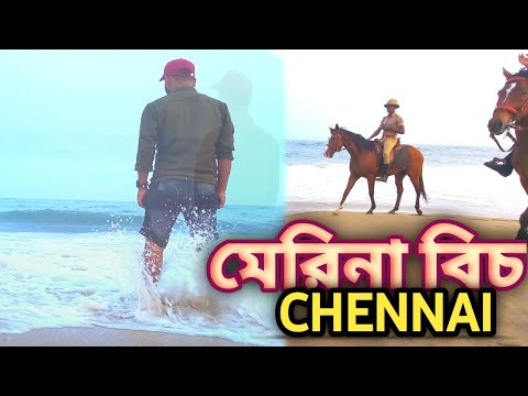 ঘুরে এলাম মেরিনা বিচ।Marina beach।Chennai Beach।Chennai Central।#bengalivlog #vlog। Dipu's Cave