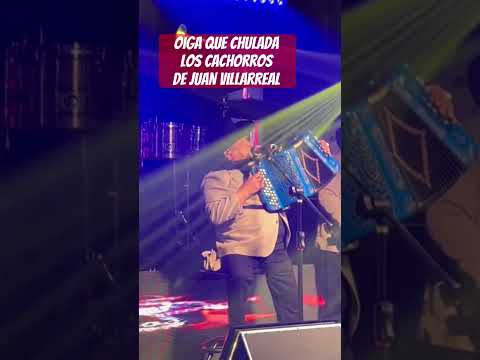 Exitazo De Los Cachorros  De Juan Villarreal