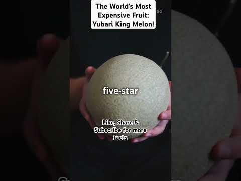 The World's Most Expensive Fruit: Yubari King Melon! #facts #superfood #wonderfruit  #ytshorts