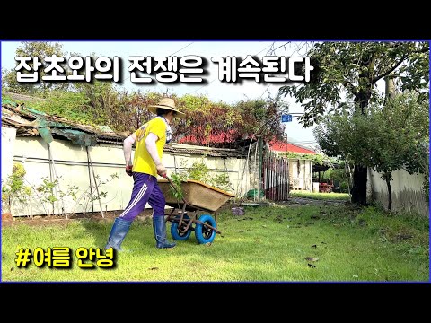 힘들어도 좋은 주말시골 생활 / 잡초와 전쟁2 / countryside, weeds, rustic