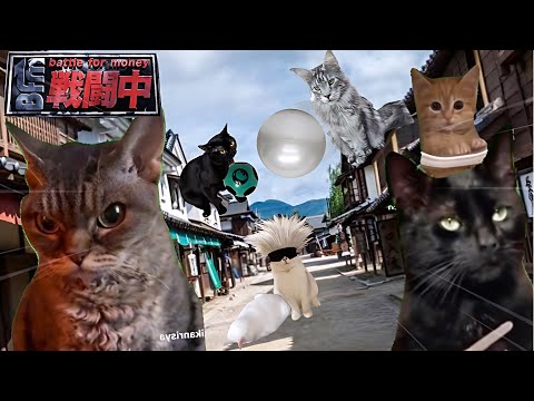 戦闘中をすることになった猫たちの日常Part6【猫ミーム】【猫マニ】