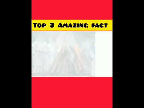 दुनिया के 3 अमेजिंग और इंटरेस्टिंग फैक्ट  3 Mindblowing  facts#newfact #trendingshorts #amazing