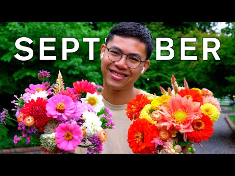 Flower Garden Late Summer Bouquets | Low Maintenance Ideas, Updates