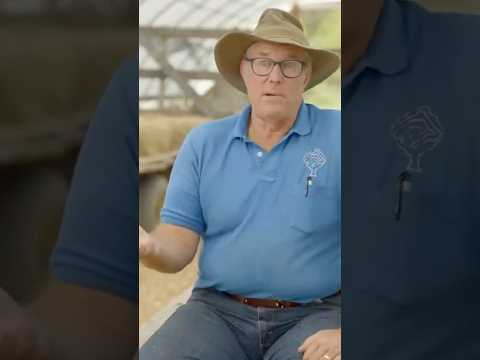 Raising exotic farm animals - Joel Salatin Q&A #regenerativefarm #regenerativeagriculture #farm