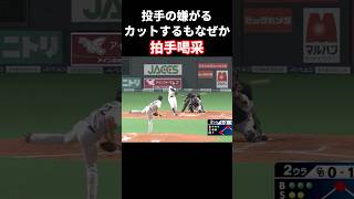 プロ野球で鬼カットしてるのに拍手喝采が起こる #プロ野球