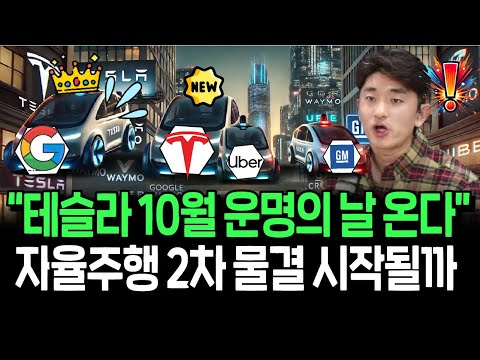 10월 로보택시 발표 앞둔 테슬라, 자율주행 관련주 기회올까