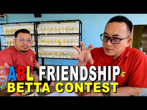 KONTES IKAN CUPANG ABL FRIENDSHIP BETTA CONTEST