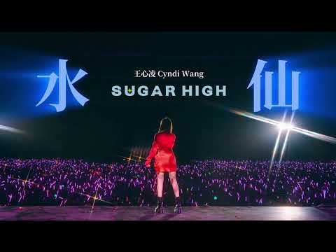 王心凌 Cyndi Wang 《水仙》SUGAR HIGH 世界巡迴演唱會 Remix