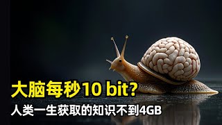 【科学】人类一生的知识上限不到4GB | 加州理工最新论文 | 大脑每秒10比特 | 神经系统速度100倍 | 并行和串行 | 心理不应期 | 历史演化 | 记忆 | 脑机接口 | AI终将超越人类