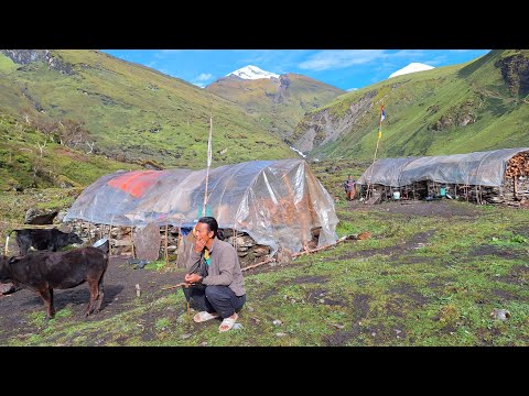 Daily Activities of Mountain Village Lifestyle _ Himalayan Nepali Village, the Most Peaceful