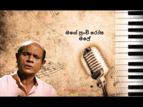 Mage punchi rosa male mamai numbe wiyapath bambara ( Amarasiri peiris) sinhala songs Akindu udaneth