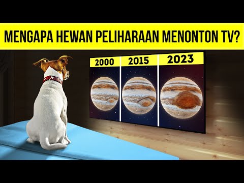 75+ Fakta Menakjubkan Tentang Hewan Peliharaan yang Baru Saya Ketahui Pertama Kali