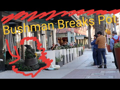 BUSHMAN PRANK 2020 -- BUSHMAN Breaks Pot