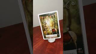 #298 Pisces - Wisdom of the Oracle Message, Fork in the road