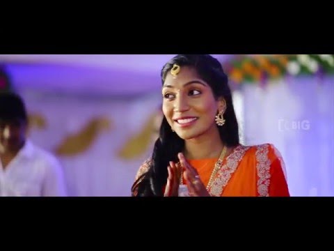 Tamil Wedding Reception Pradeep+Viji - BIG PHOTOGRAPHY