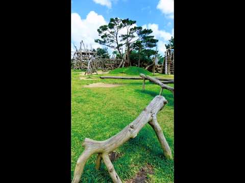 沖繩 Bios之丘 遊御庭 (あしびうなー) 在大草坪上的攀爬設施和樹屋