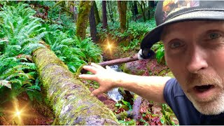 Ancient Sea Bed GOLD in Oregon Mountains