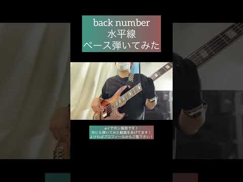 水平線 / back number 【ベース弾いてみた】 #shorts #ベース #ベース弾いてみた #bass #basscover #backnumber