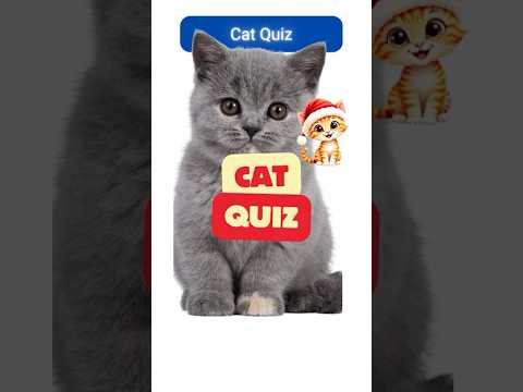 How Well Do You Know Cats? 🐾 Ultimate Cat Trivia Challenge! #quiz #cat